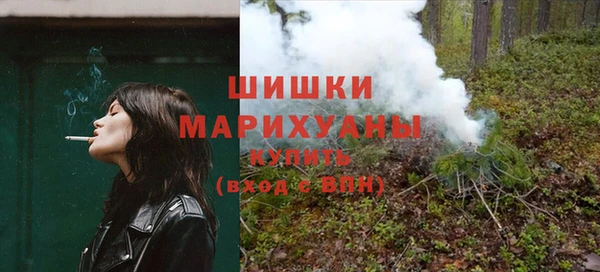 дмт Арсеньев