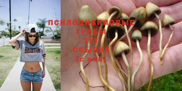 мяу мяу кристалл Балахна