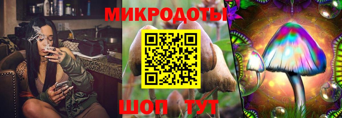 Псилоцибиновые грибы Psilocybe  Вход с VPN  Псилоцибиновые грибы Magic Shrooms  Черняховск 
