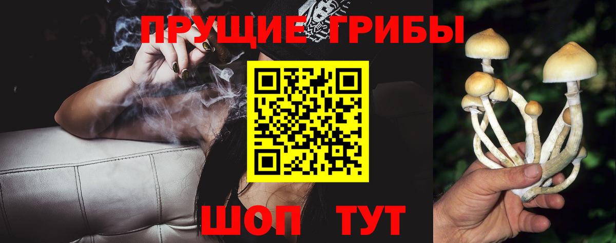 Галлюциногенные грибы прущие грибы Черняховск